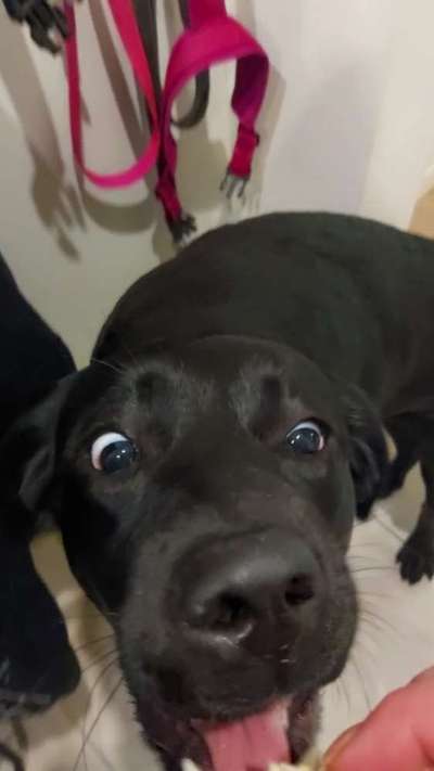 42. Handy Fotochallenge - Den richtigen Riecher haben-Beitrag-Bild