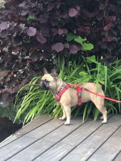 Fotochallenge Nr. 94 It's summer time-Beitrag-Bild