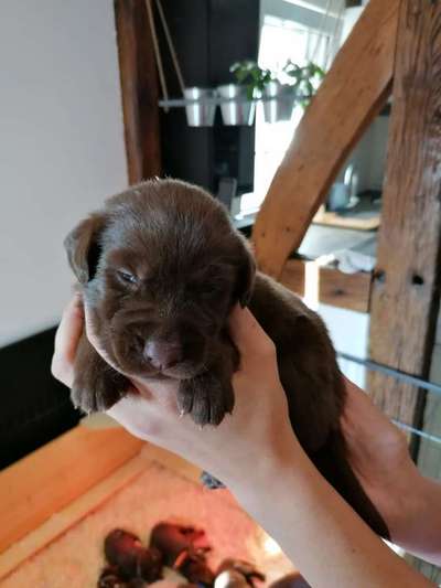 Das erste Foto-Beitrag-Bild