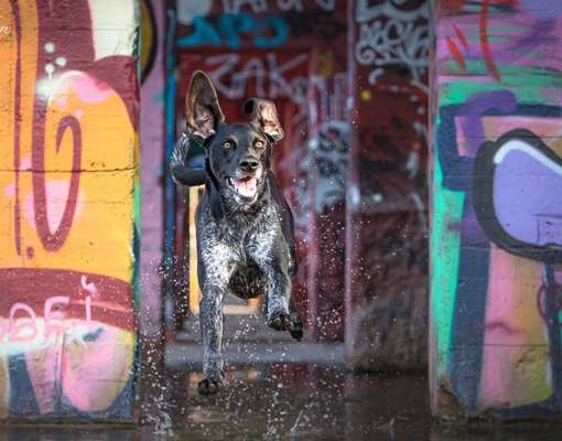 Foto Challenge - BEENDET - bitte aktuelle Challenge nutzen-Beitrag-Bild