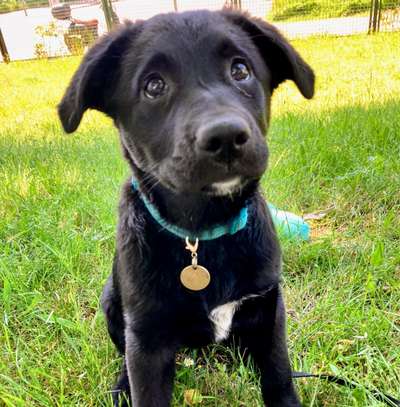 Dogorama Photo Challenge - Der Frühling kommt-Beitrag-Bild