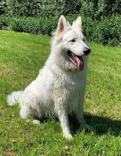 Leute aus Oberbayern?-Beitrag-Bild