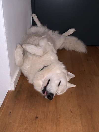 Die unbequemsten und lustigsten Schlafpositionen-Beitrag-Bild