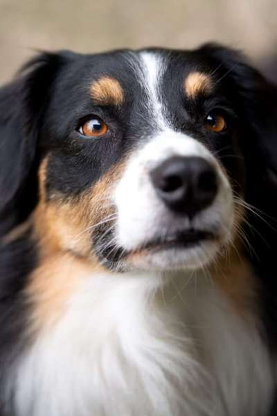 Fotochallange Nr. 57     PORTRÄT.   Beendet!!!!!!!!-Beitrag-Bild