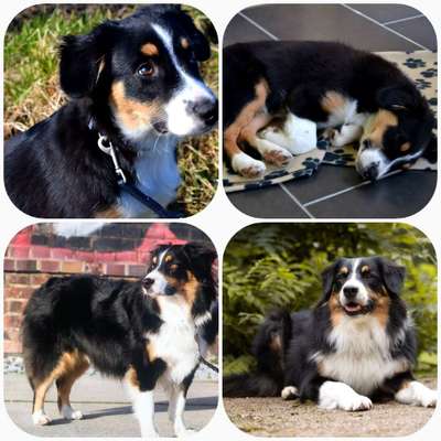 Vorher.... Nachher-Beitrag-Bild