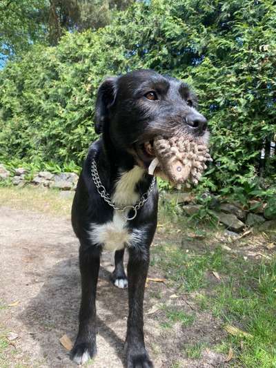 Zeige deinen Schatz mit seinem Lieblingsspielzeug.-Beitrag-Bild