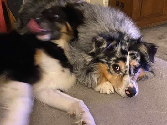 Her mit dem Grimassen-Beitrag-Bild