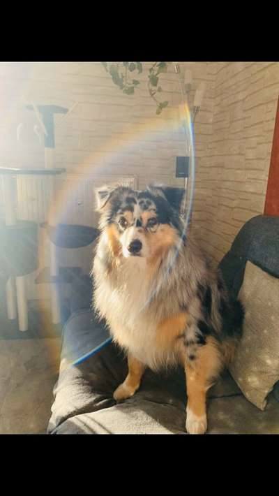 Un...scharf Bilder-Beitrag-Bild