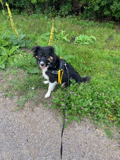 Ängstlichkeit-Beitrag-Bild