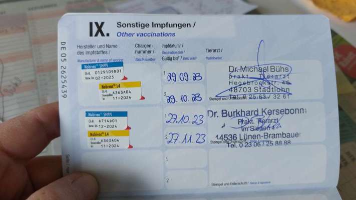 Welpenimpfung Tierarzt will 3x Impfen-Beitrag-Bild