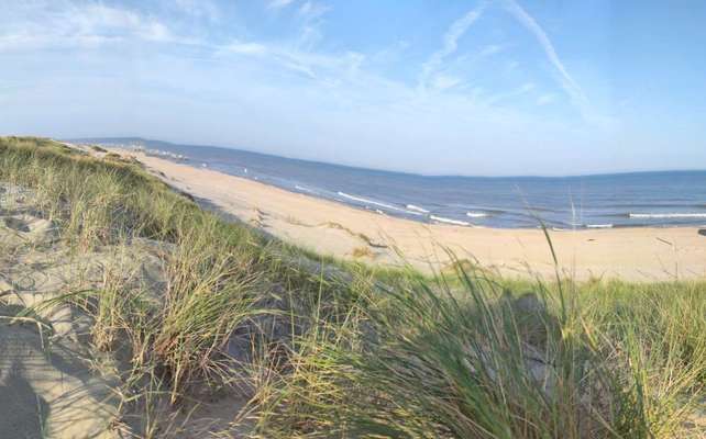 Hundeurlaub in Stralsund?-Beitrag-Bild