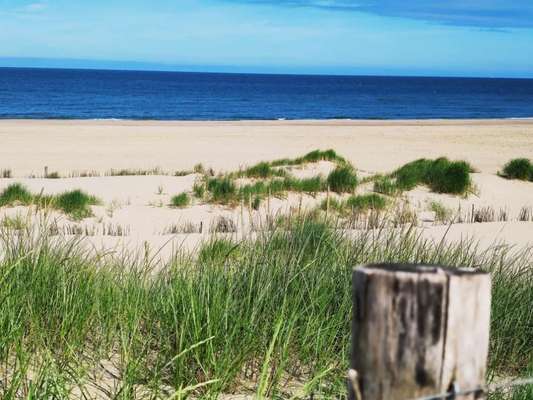 Hundeurlaub in Stralsund?-Beitrag-Bild