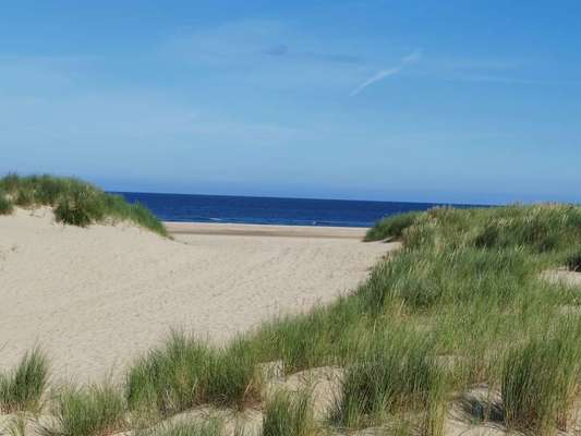 Hundeurlaub in Stralsund?-Beitrag-Bild