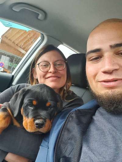 Challenge 33 - Du und dein Hund-Beitrag-Bild