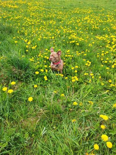 Fotowettbewerb Natur-Beitrag-Bild