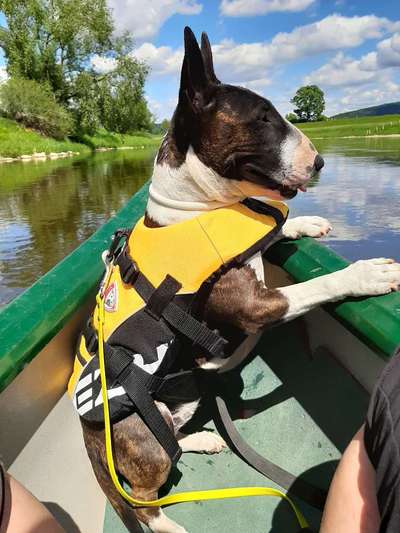 37. Collagen Challenge- Am Strand-Beitrag-Bild