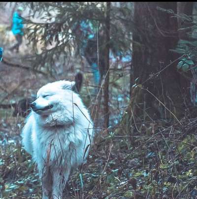 Lustige Bilder-Beitrag-Bild