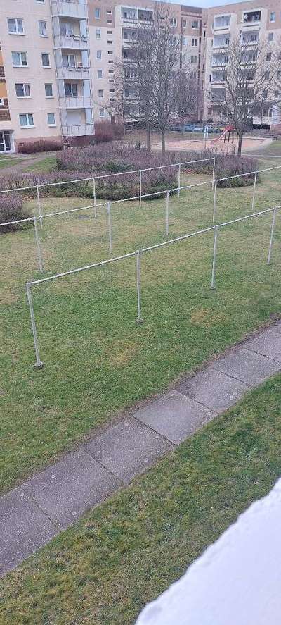 TierschutzhundeStammtisch🐕-Beitrag-Bild