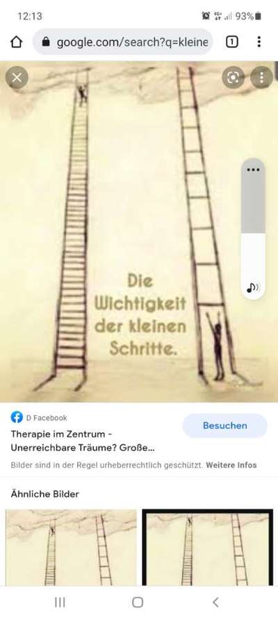 Hündin hat Angst vor anderen Menschen-Beitrag-Bild