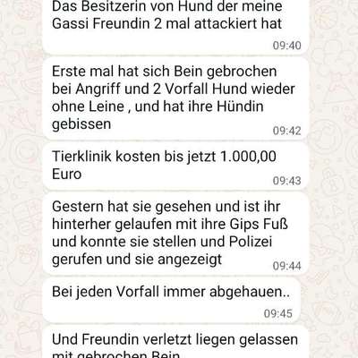 Giftköder-Vorsichtig bissiger Hund unterwegs-Bild