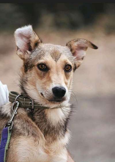 Zeigt eure Portraits-Beitrag-Bild