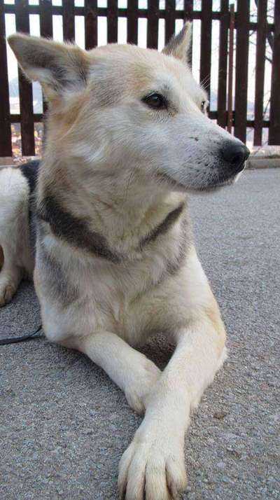 Zeigt eure Portraits-Beitrag-Bild