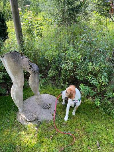 82. Foto Challenge: Skulptur/ Denkmal-Beitrag-Bild