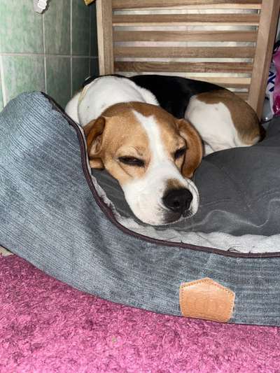 Fotochallenge 128-Beitrag-Bild