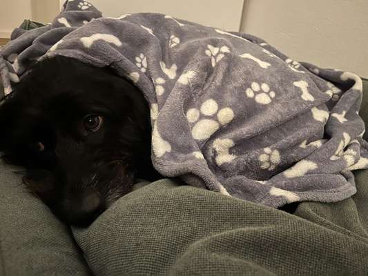 Fotochallange - Eingekugelt-Beitrag-Bild