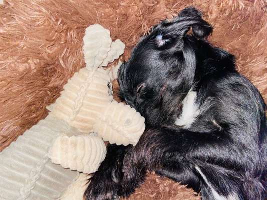 Lieblingsbild-Beitrag-Bild