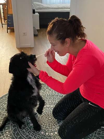 18. Handy - Foto - Challenge-Beitrag-Bild