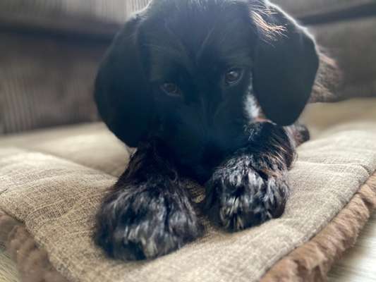 Zeigt eure Portraits-Beitrag-Bild