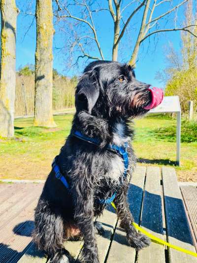 Fotowettbewerb zum Thema "Sonne"-Beitrag-Bild