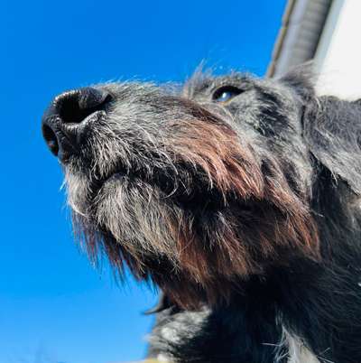 118. Fotochallange-Beitrag-Bild