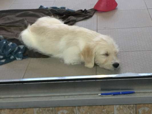 Sie werden so schnell erwachsen ...-Beitrag-Bild