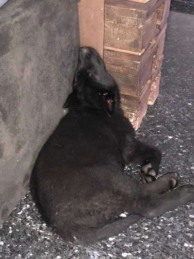 Die unbequemsten und lustigsten Schlafpositionen-Beitrag-Bild