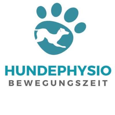 Medizinische Dienstleistungen-Hundephysio Bewegungszeit-Bild