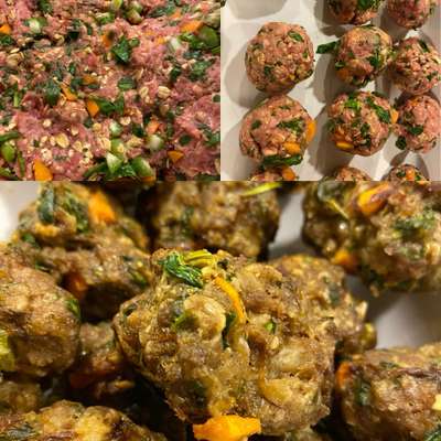 Zeigt her Eure Futternäpfe-Beitrag-Bild