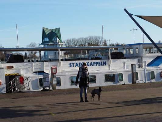Windhunde - Treffen der besonderen Schönheiten
HERZLICH WILLKOMMEN-Beitrag-Bild