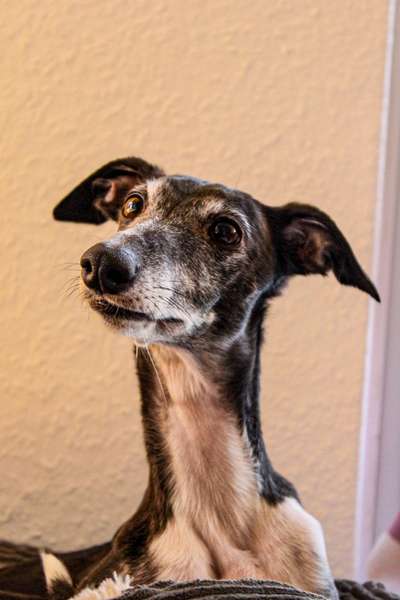 Lieblingsbild :D-Beitrag-Bild