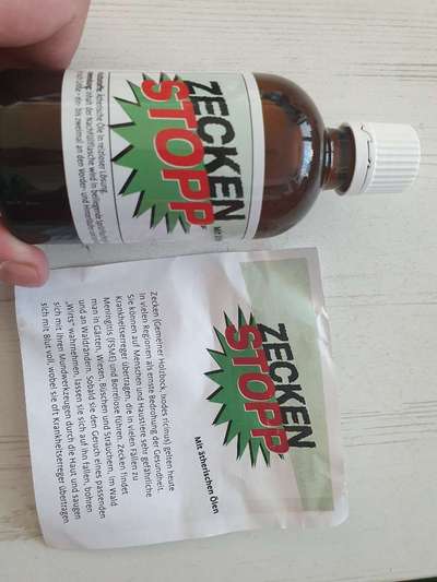 Zeckenstich - Tierarzt nötig?-Beitrag-Bild