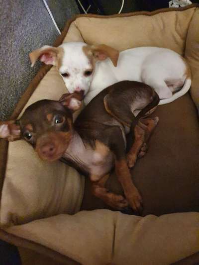 Foto Challenge 3-Beitrag-Bild