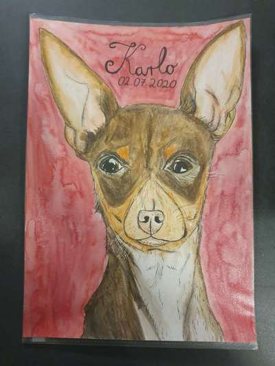 Ich zeichne deine Fellnase-Beitrag-Bild