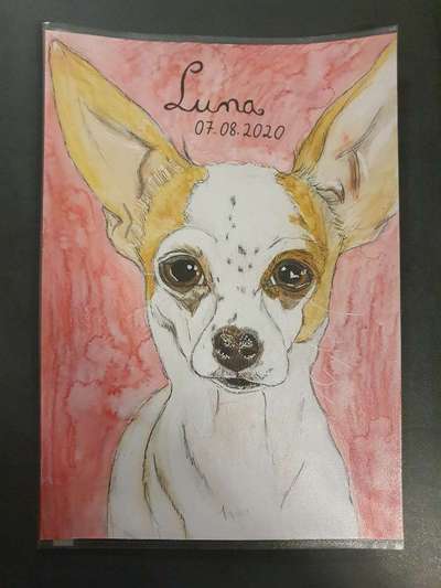 Ich zeichne deine Fellnase-Beitrag-Bild