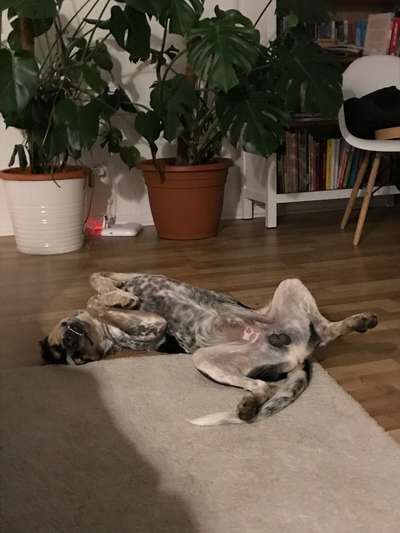 Fotochallenge Nr.65-Beitrag-Bild