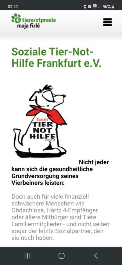 Crowdfunding für Tierarztkosten: Wenn Hundeeltern auf Unterstützung angewiesen sind-Beitrag-Bild