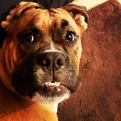 Lieblingsbild-Beitrag-Bild