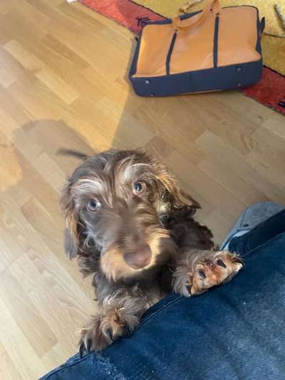 Handy-Foto Challange Nr. 10-Beitrag-Bild