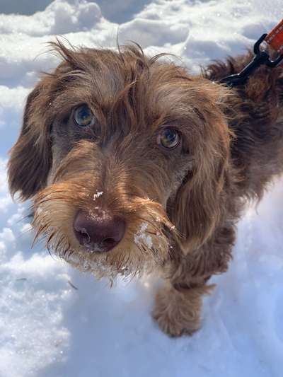 Außergewöhnliche Merkmale-Beitrag-Bild