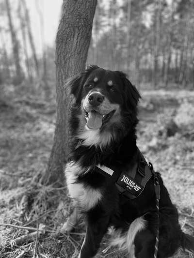 Foto-Challenge 76: Foto in Schwarz-Weiss-Beitrag-Bild